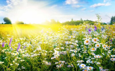 The Warmest Season: Rediscovering Passion and Purpose