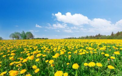 The Seasons Within: Embracing the Beauty of Aging