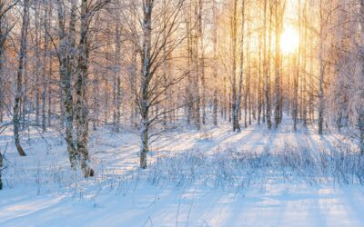 Winter:  A Season That Teaches Us How to Age Well