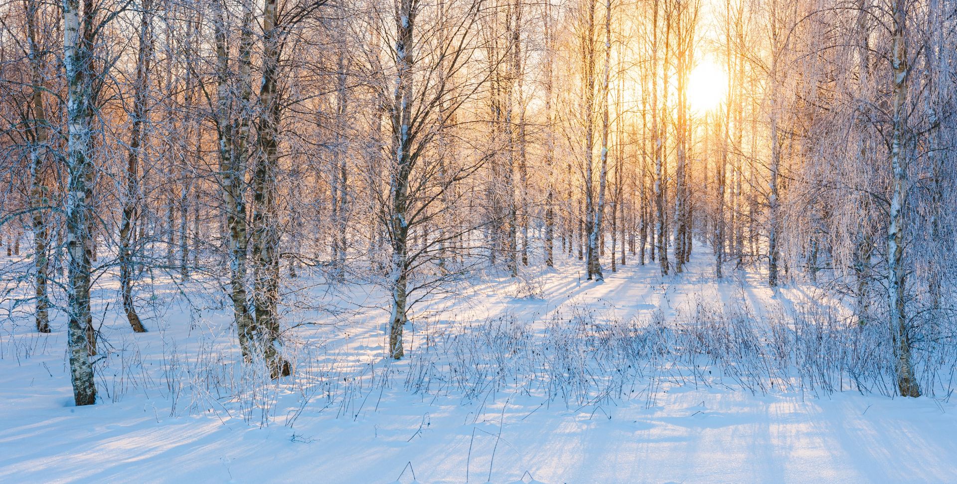 Winter a Season that teaches us how to age well featured image